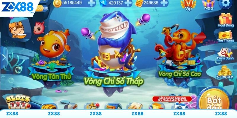 Luật rinh xu giúp hội viên tối ưu hóa cơ hội nhận thưởng